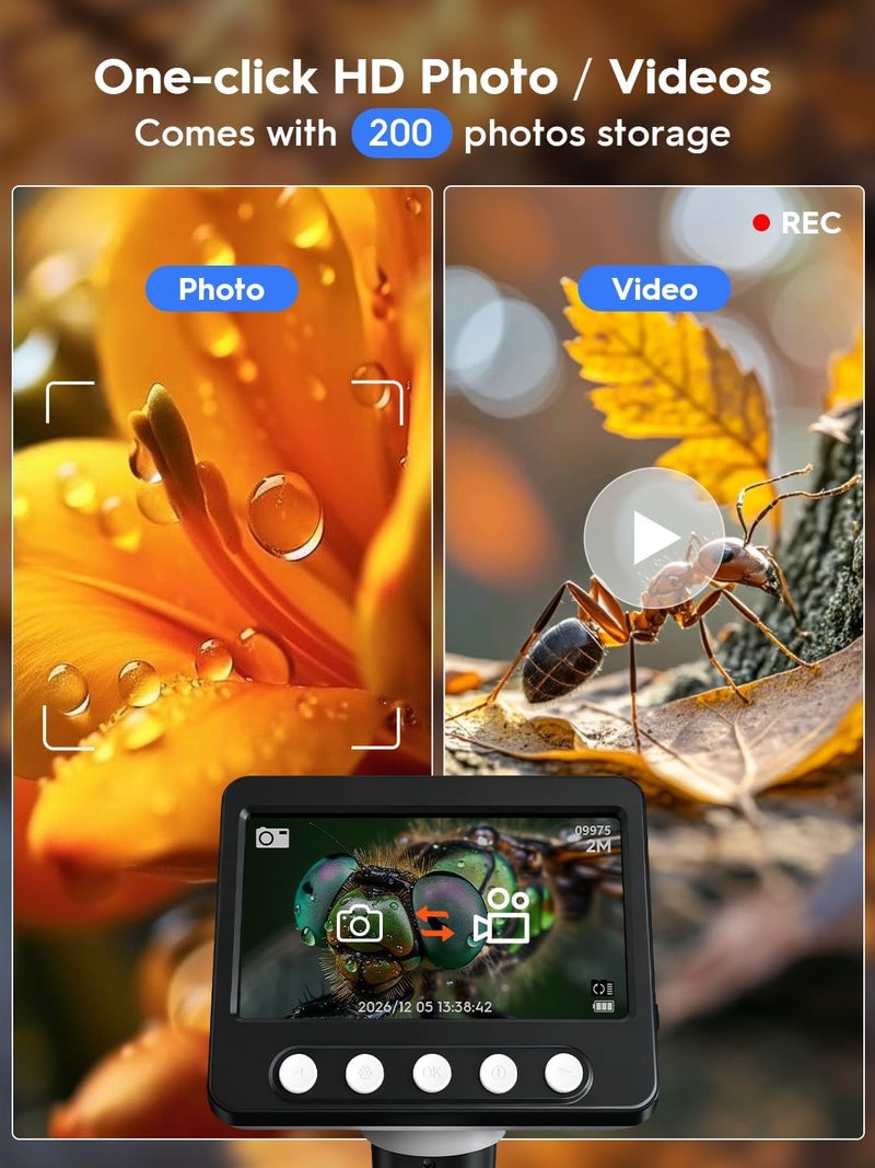 WKR ميكروسكوب عملات للأخطاء، 4.3 بوصة 1080P LCD ميكروسكوب رقمي، مكبر 50x-1000x مع 8 أضواء LED قابلة للتعديل، عرض على الكمبيوتر، متوافق مع MacOS و Windows للبالغين والأطفال - Image 4
